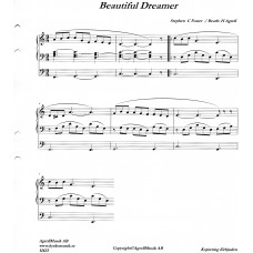 Beautiful dreamer / Stephen C Foster